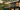 Modern_mid-century-style_home_with_a_large_balcony